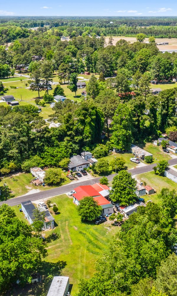 ExecutiveSummary-2ParkGreenvilleNC